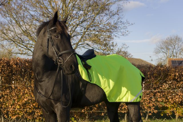 Cameo Equine Cameo Equine Wrap Around Exercise Sheet