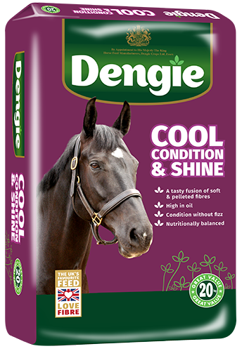 DENGIE COOL CONDITION AND SHINE 2025 LHS web