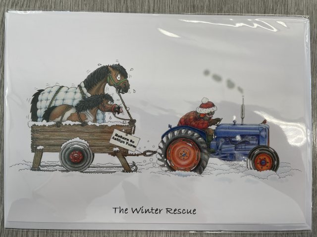 Natraliving Horse The Winter Rescue