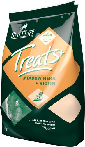 Spillers Spillers Meadow Herb + Biotin Treats