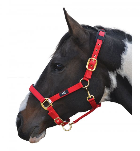 Hy Hy Deluxe Padded Headcollar