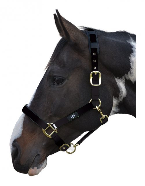 Hy Deluxe Padded Headcollar Head Collars Unicorn Saddlery