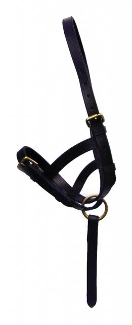 Hy Hy Leather Foal Slip