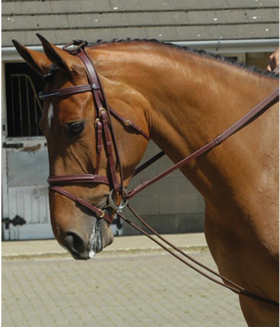 John Whitaker John Whitaker Training Rein