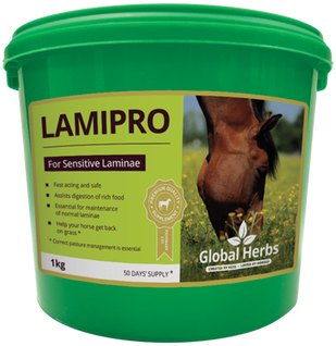 Global Herbs Global Herbs LamiPro Powder