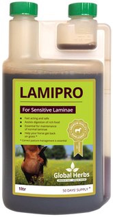 Global Herbs Global Herbs LamiPro Liquid