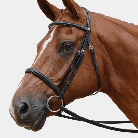 Albion Albion Complete Headstall - Competition Snaffle (Plain Browband)
