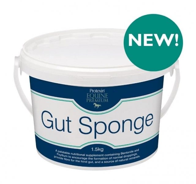 Natraliving Horse Protexin Gut Sponge