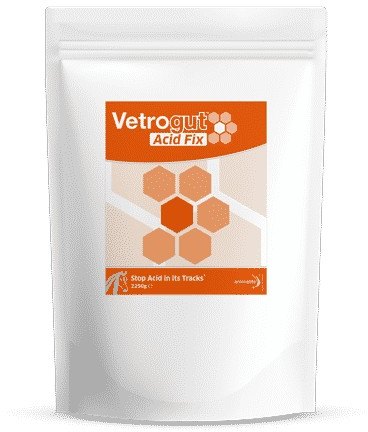 Animalife Animalife Vetrogut Acid Fix