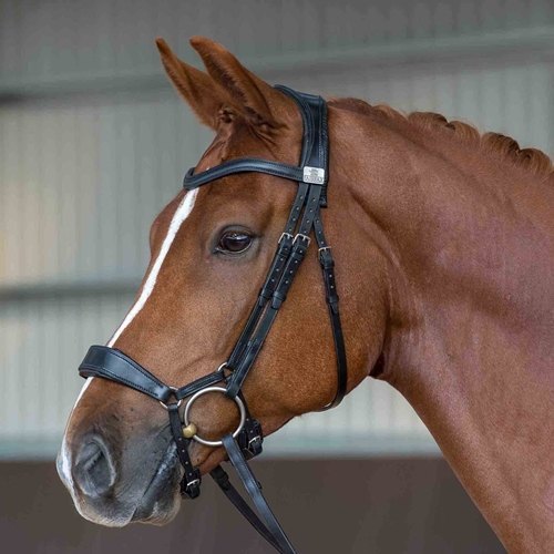 Fairfax Fairfax Pony Drop Noseband