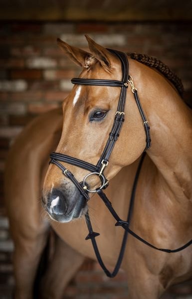 LeMieux LeMieux Work Bridle