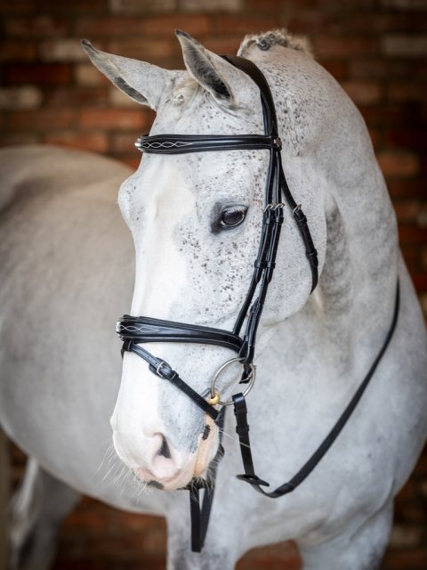 LeMieux LeMieux Competition Flash Bridle