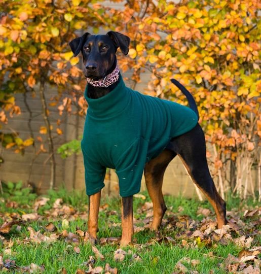 Cameo Equine Cameo Equine Cosy Fleece Jumper