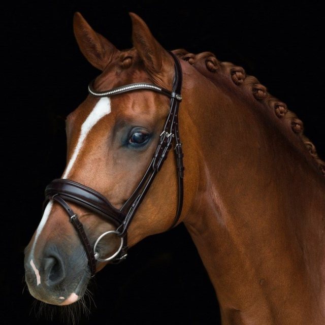 Schockemohle Schockemohle Stanford Wide Bridle