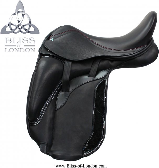 Bliss Bliss Paramour Dressage