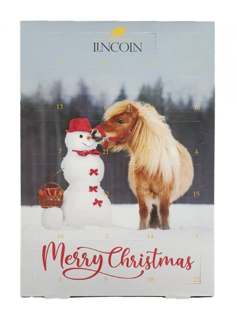 Lincoln Snowman Advent Calendar