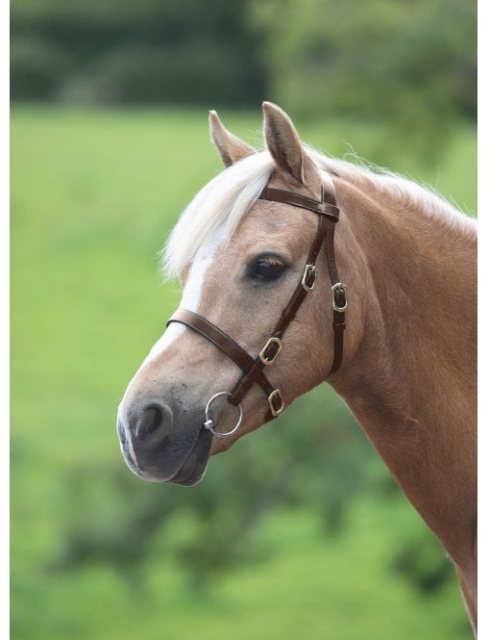 Shires Shires Velociti GARA Plain Inhand Bridle