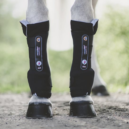 Kentucky Kentucky Magnetic Stable Boots Recuptex