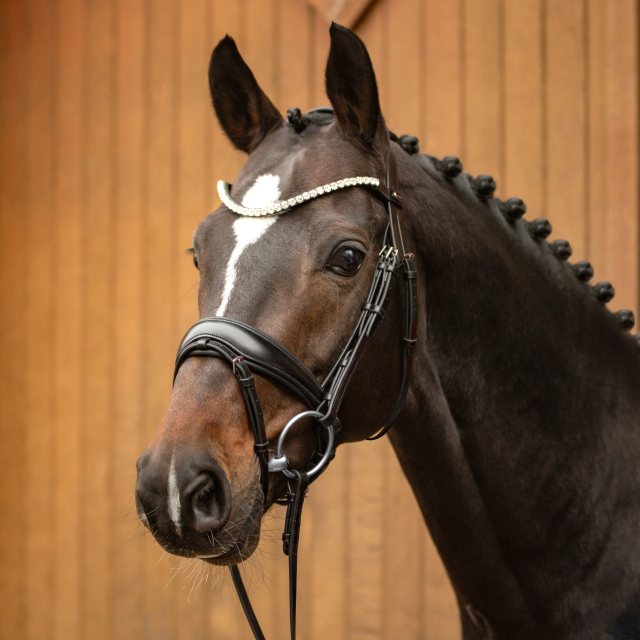 Passier Passier Favorite Klimke Snaffle Bridle w/ Rubber Reins