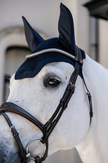 Kentucky Kentucky Wellington Fly Veil