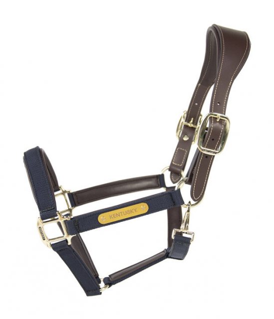 Kentucky Kentucky Nylon Anatomic Head Collar