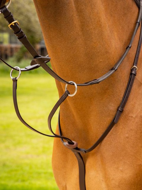 LeMieux LeMieux Arika Running Martingale