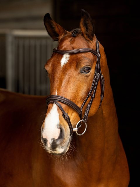 LeMieux LeMieux Arika Flash Bridle