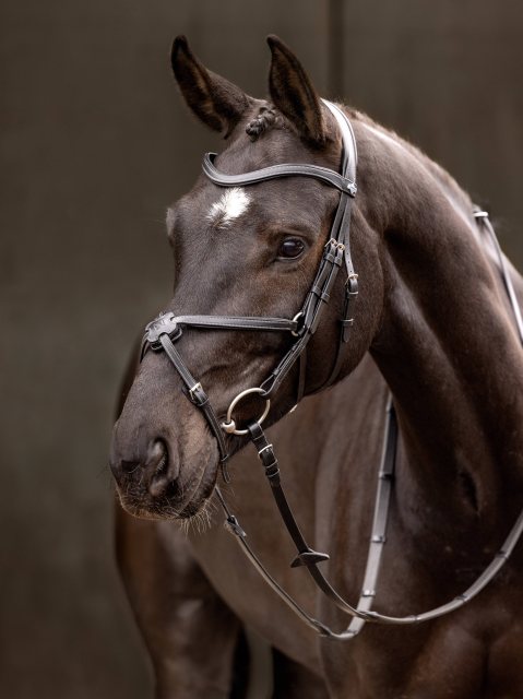 LeMieux LeMieux Arika Grackle Bridle