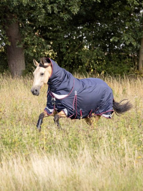 LeMieux LeMieux Kudos Turnout Rug - 50g