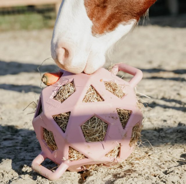 Kentucky Kentucky Relax Horse Play Hay Ball