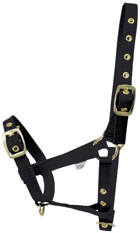 Hy Hy Foal Head Collar