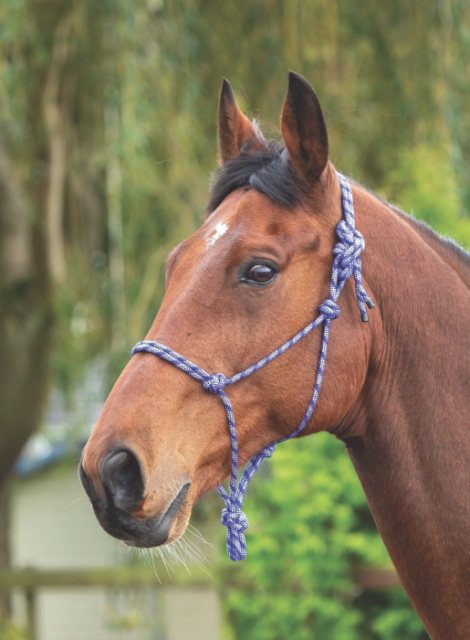 Shires Shires Rope Control Headcollar