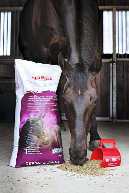 Red Mills Red Mills Define & Shine