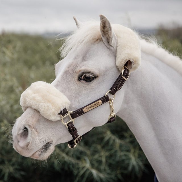 Kentucky Kentucky Leather Halter Sheepskin