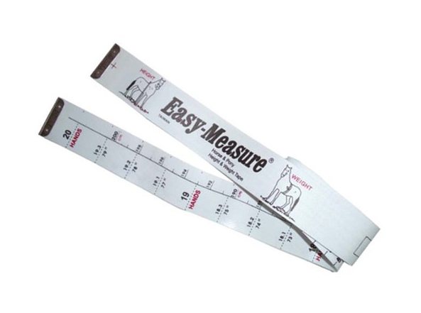 Lincoln Lincoln Easy-Measure
