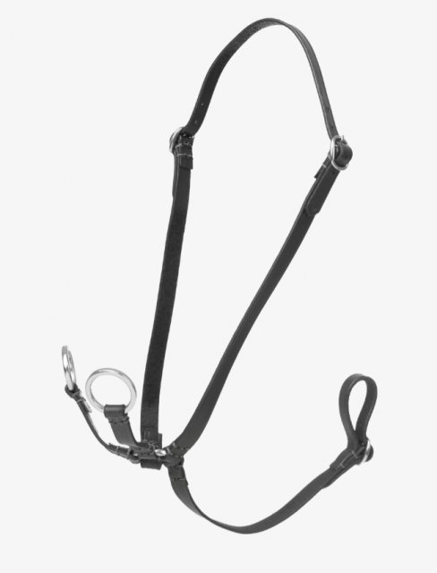 LeMieux LeMieux Hobby Horse Running Martingale - Black