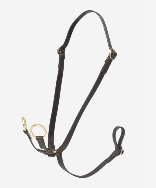 LeMieux LeMieux Hobby Horse Running Martingale - Brown
