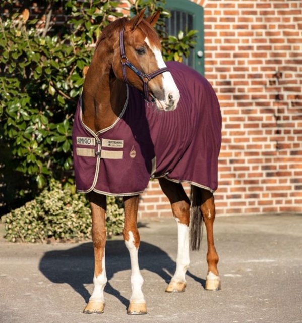 Amigo Amigo Stable Sheet