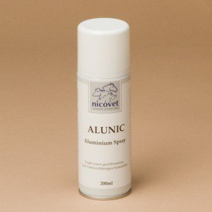 Battles Alunic Aluminium Spray