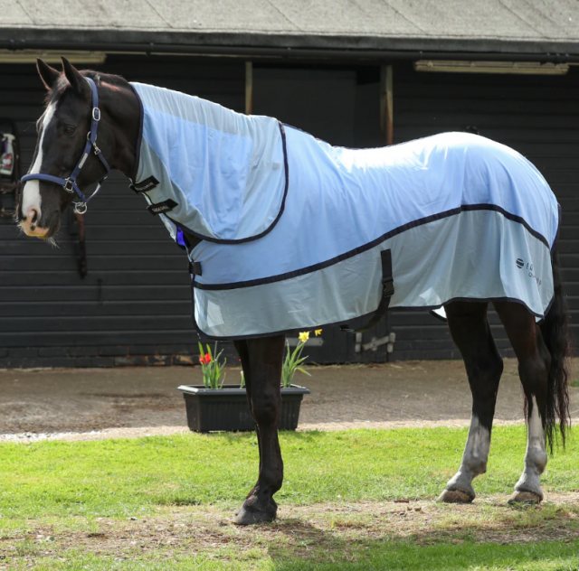 Equilibrium Equilibrium Quick Chill Cooling Rug (Detachbable Neck)