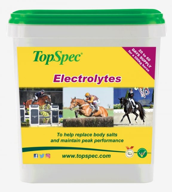 Topspec Topspec Electrolytes