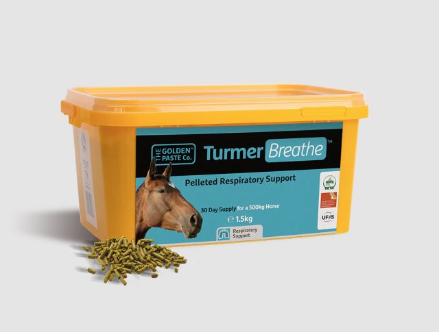 The Golden Paste Co. TurmerBreathe