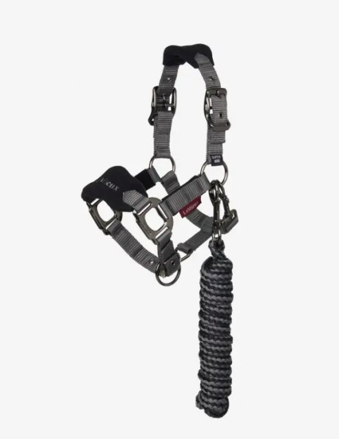 LeMieux LeMieux Mini Vogue Headcollar - Black