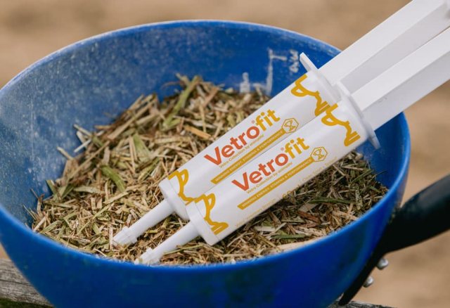 Animalife Animalife VetroFit Syringe