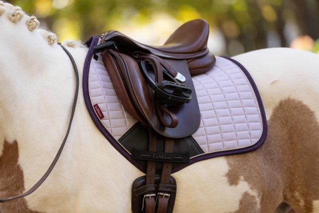 LeMieux LeMieux Mini Suede Close Contact Square - Lilac