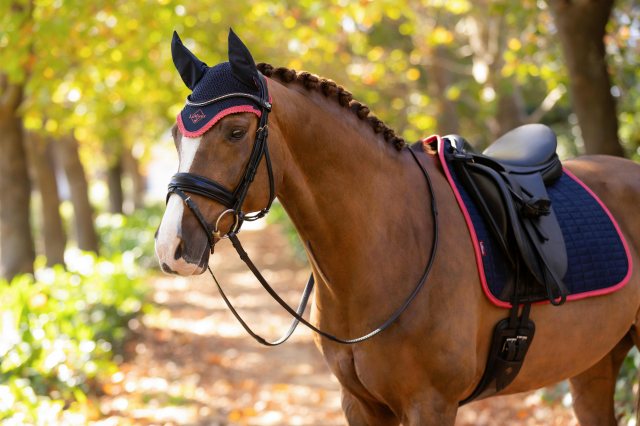 LeMieux LeMieux Classic Fly Hood - Navy/Cranberry