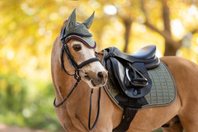 LeMieux LeMieux Mini Classic Fly Hood - Rosemary