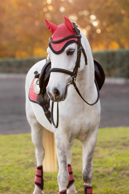 LeMieux LeMieux Mini Classic Fly Hood - Cranberry