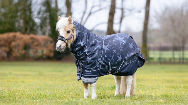 LeMieux LeMieux Arika Star Turnout 0g - Navy