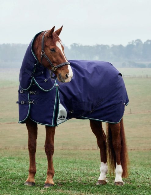 Weatherbeeta Weatherbeeta Comfitec Plus Dynamic Detach-A-Neck - 100g